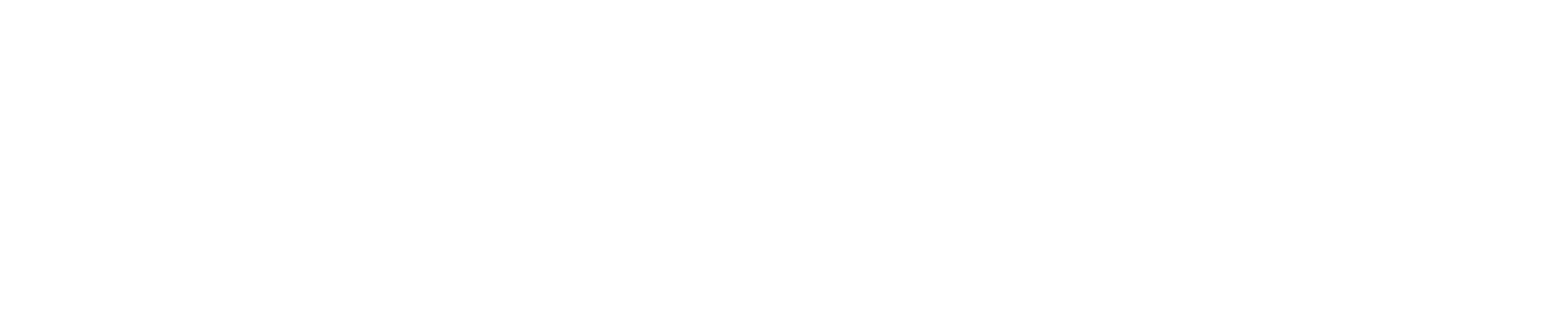NP Board Academy Logo